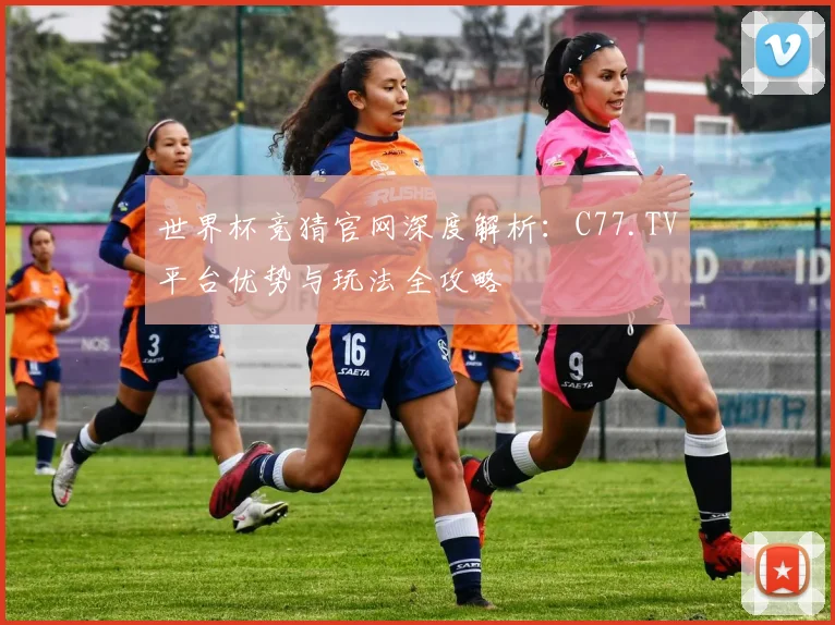 世界杯竞猜官网深度解析:C77.TV平台优势与玩法全攻略