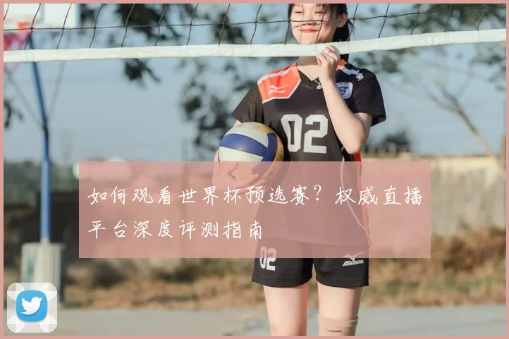 如何观看世界杯预选赛？权威直播平台深度评测指南