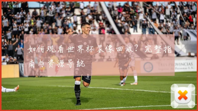 如何观看世界杯录像回放？完整指南与资源导航