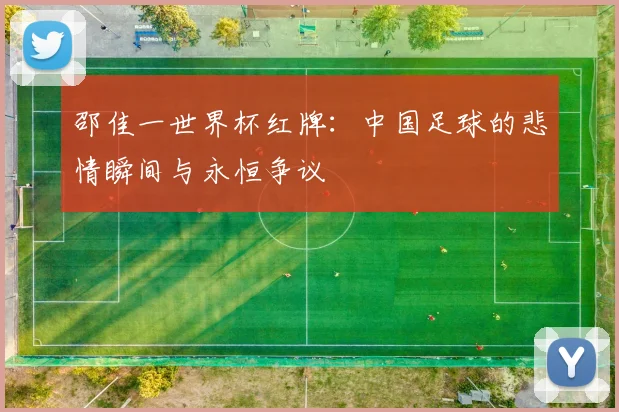 邵佳一世界杯红牌：中国足球的悲情瞬间与永恒争议