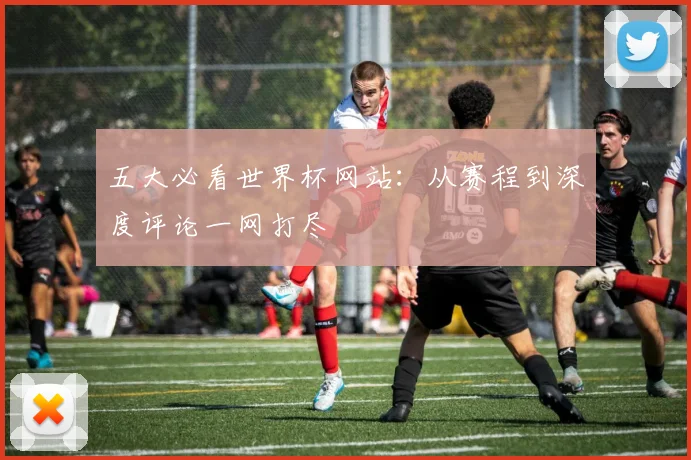 五大必看世界杯网站：从赛程到深度评论一网打尽