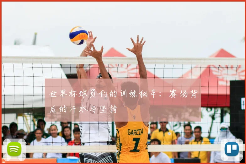 世界杯球员们的训练秘辛：赛场背后的汗水与坚持