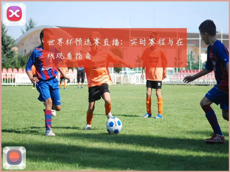 世界杯预选赛直播：实时赛程与在线观看指南