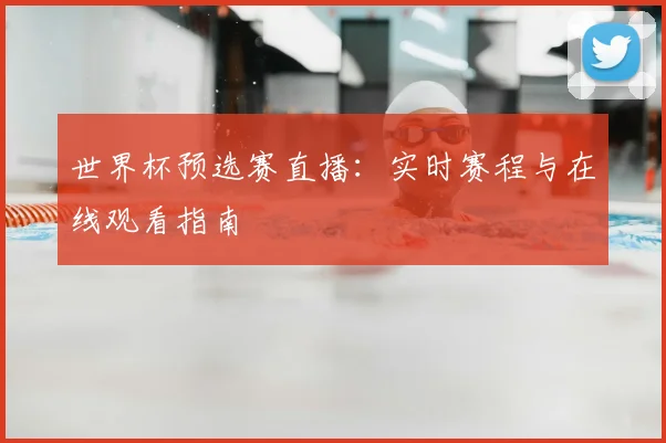 世界杯预选赛直播：实时赛程与在线观看指南